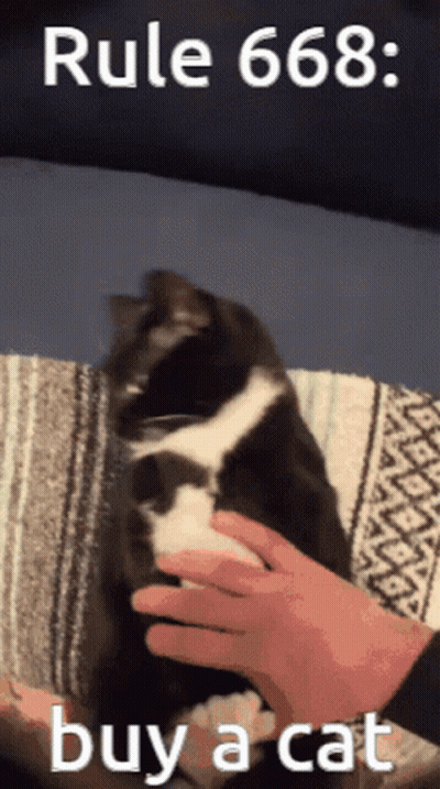 Petting Black White Cat Rule 666 Buy Cat GIF
