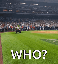Phanatic Driving Who GIF
