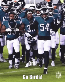 Philadelphia Eagles Dance Celebrate GIF