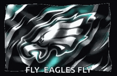 Philadelphia Eagles Flag Saying Fly Eagles Fly GIF