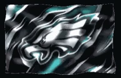 Philadelphia Eagles Flag Windy GIF