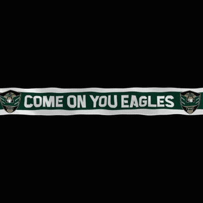 Philadelphia Eagles Logo Glowing In Dark GIF
