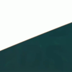 Philadelphia Eagles Logo Touchdown GIF