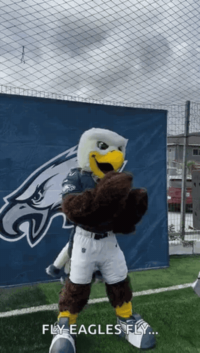 Philadelphia Eagles Mascot On Soccer Field GIF