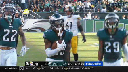 Philadelphia Eagles Touchdown GIF
