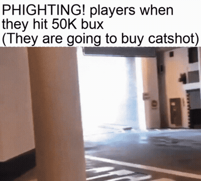 Phlighting Players When They Hit 50k Bux They Are Going To Buy Catshot