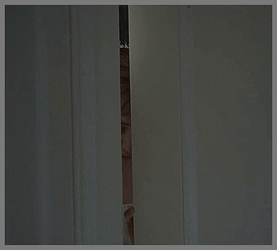 Phoebe Running Out The Door GIF