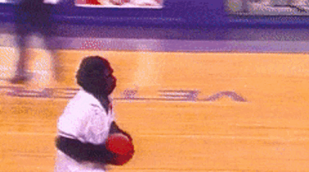 Phoenix Suns Gorilla GIF