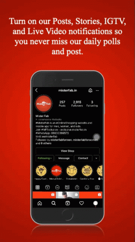Phone With Misterfab.in Page Open GIF