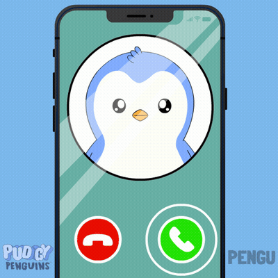 Phone With Penguin Picture And Puddy Penguins GIF