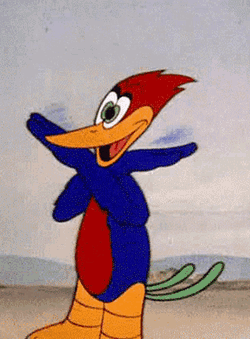 Pica Pau Biruta GIF
