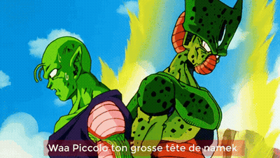 Piccolo And Cell Are Standing Next To Each Other With The Caption Waa Piccolo Ton Grosse Tete De Namek GIF