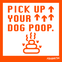 Pick Up Dog Poop Digital Reminder GIF