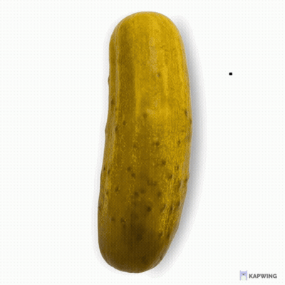 Pickle In Sunglasses Saying Dyl With It GIF