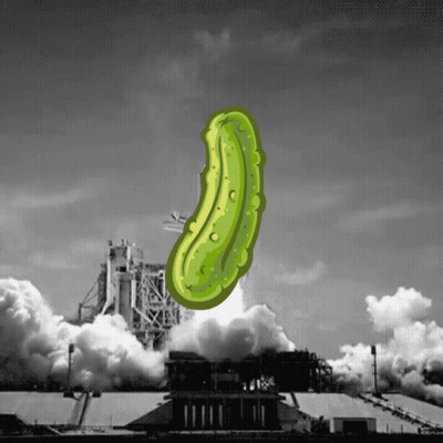 Pickle Launched Into Sky