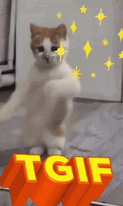 Pickle Reading Book With Letter A GIF