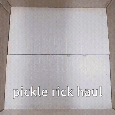 Pickle Rick Haul Person Holding Pickle In Box GIF
