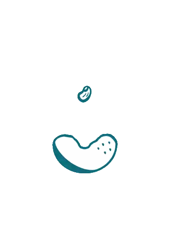 Pickle With Bean On White Background Sticker