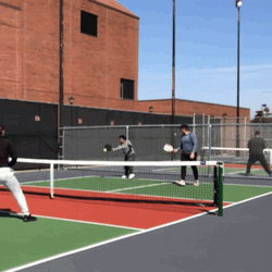 Pickleball Game Doubles Format GIF