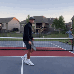 Pickleball Naughty Air Punches GIF