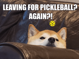 Pickleball Shiba Inu Peeking GIF