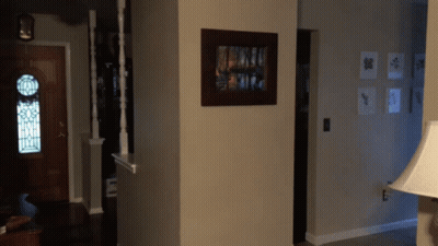 Picture On Wall In Hallway With Lamp GIF