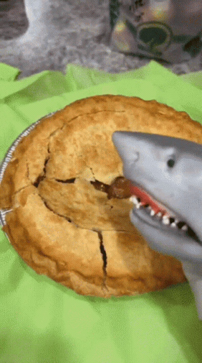 Pie With Bite And Toy Shark GIF