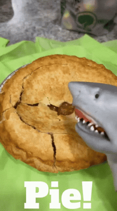 Pie With Shark Topping And Pie Text GIF