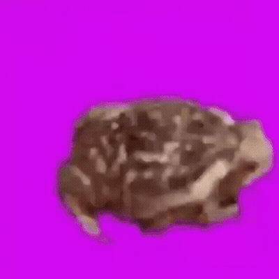 Piece Of Chocolate Cake GIF