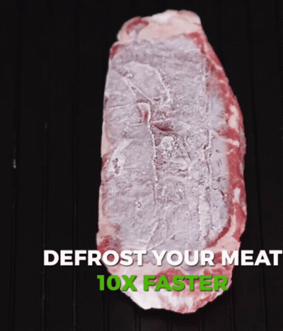 Piece of Meat Defrost Your Meat 10x Faster