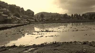 Piece Of Meat GIF