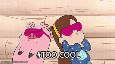 Pig And Girl Taking Picture #Too Cool GIF