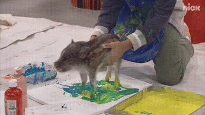 Pig Being Painted On Canvas With Nick GIF