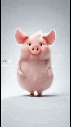 Pig Dancing Dance GIF