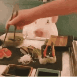 Pig Eats Yummy Sushi GIF