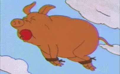 Pig Flies Escaped From Cooking GIF