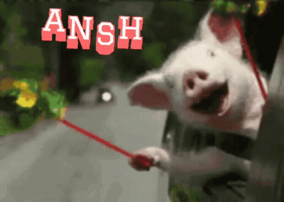 Pig Holding Red Stick Ansh GIF