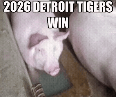 Pig In Box 2026 Detroit Tigers Win GIF