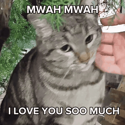 Pig Laying On Bed With Leopard Print Blanket GIF