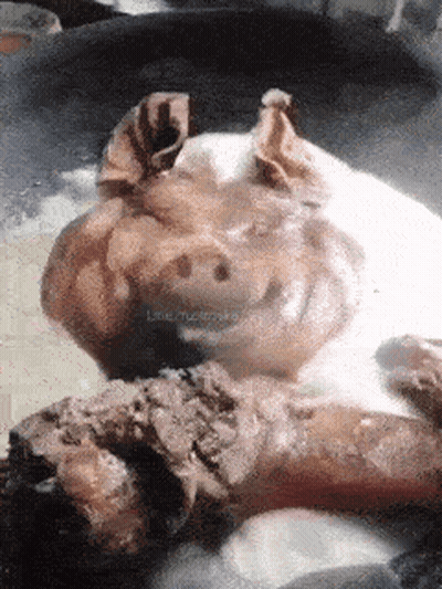 Pig Laying On Dirt With Word Line GIF