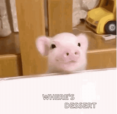 Pig Looking At Mirror Saying Where's Dessert GIF