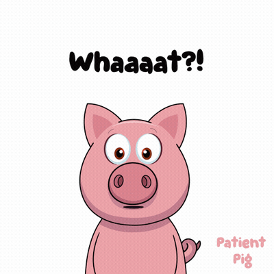 Pig Mouth Open Whaaat GIF