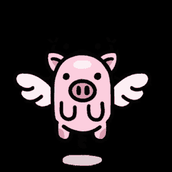 Pig Piggy GIF