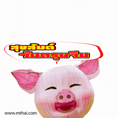 Pig Saying Www.mthai.com GIF