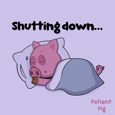 Pig Sleeping Shutting Down GIF