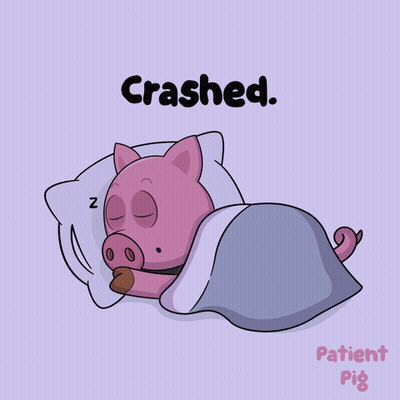 Pig Sleeping Under Blanket Crashed GIF