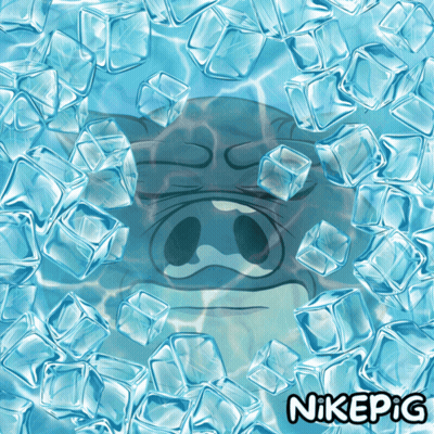 Pig Surrounded By Ice Cubes Nikepig GIF