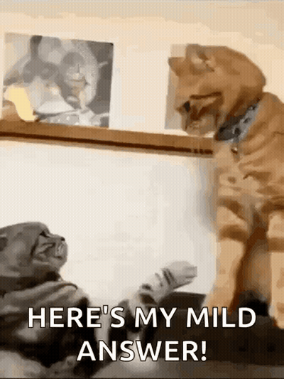 Pig With Post These Pigs Caption GIF