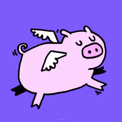 Pig With White Wings On Purple Background GIF