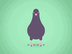Pigeon Dance Animated GIF
